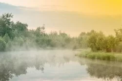 Carta da Parati Flora e Fauna Paesaggi e Natura Fiumi Cascate Laghi Foreste e Alberi Tropicale