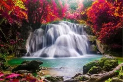 Wallpaper Flora and Fauna Landscapes and Nature Trees Rivers Waterfalls Lakes Oriental and Zen