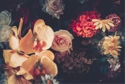 Carta da Parati Design e Stili Flora e Fauna Fiori Natura Vintage