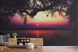 Wallpaper Dawn Sunset Forests and Trees Beach and Sea