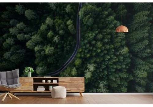 Wallpaper landscape road in the forest