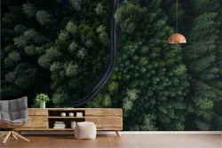 Carta da Parati paesaggio strada nella foresta