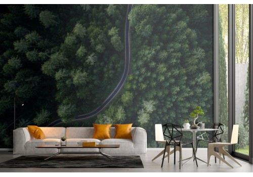 Wallpaper landscape road in the forest 2