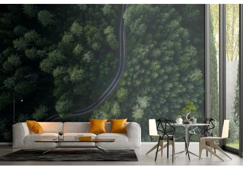 Wallpaper landscape road in the forest 2