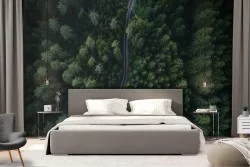 Modern Nature Forests and Trees Wallpaper