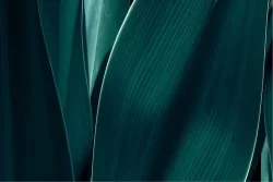 Carta da Parati Design e Stili Flora e Fauna Foglie Natura
