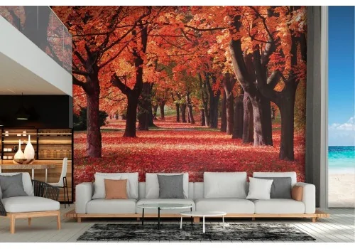 Wallpaper landscape avenue trees autumn