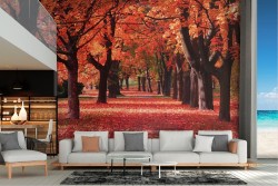 Carta da Parati paesaggio viale alberi autunno