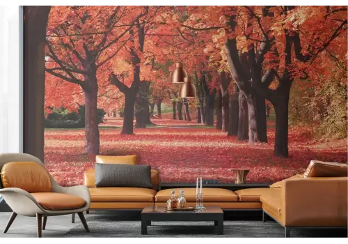 Carta da Parati paesaggio viale alberi autunno 2