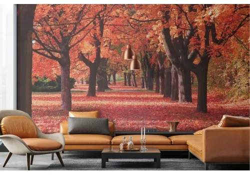 Carta da Parati paesaggio viale alberi autunno 2