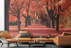 Carta da Parati paesaggio viale alberi autunno