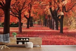 Wallpaper Leaves and Flowers Forests and Trees