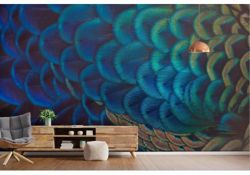 Peacock feather nature wallpaper