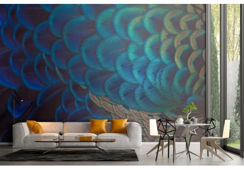 Peacock feather nature wallpaper 2