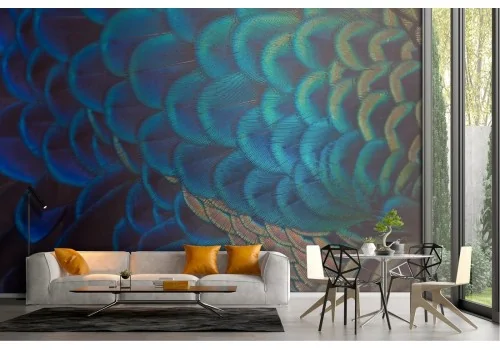 Peacock feather nature wallpaper 2