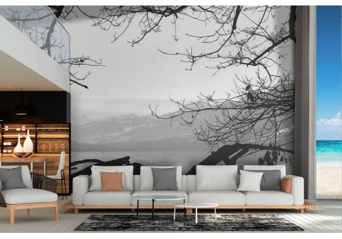 Wallpaper landscape lake in the mountains