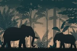 Carta da Parati elefanti natura design tropicale