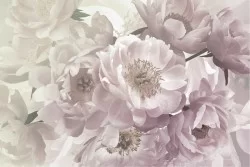 Carta da Parati Design e Stili Flora e Fauna Fiori Natura Vintage