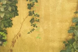 Photorealistic wallpaper with concrete surface and ivy