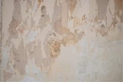 Carta da Parati superficie cemento effetto vintage