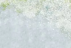 Abstract polka dot wallpaper decoration
