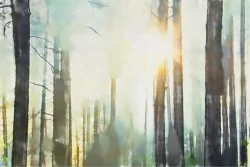 Watercolor forest trees wallpaper nature