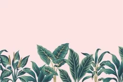 Tropical leaves wallpaper nature pink background