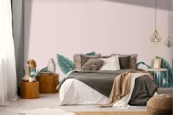 Tropical Nature Leaves Wallpaper