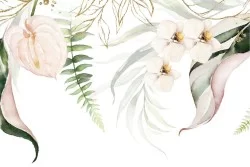 Carta da Parati natura raffinata fiori bianchi