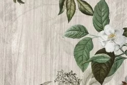 Carta da Parati decorazione vintage fiore bianco