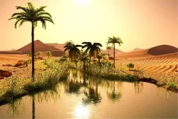 Wallpaper Landscapes and Nature Desert Oasis