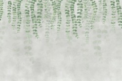 Carta da Parati rampicanti decorazione superficie cemento