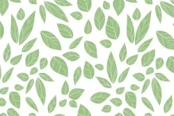 Carta da Parati foglie verdi natura