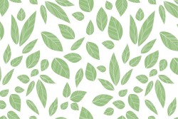 Green leaves nature wallpaper