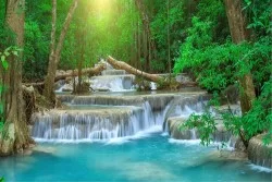 Carta da Parati Flora e Fauna Paesaggi e Natura Alberi Fiumi Cascate Laghi Foreste e Alberi