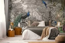 Tropical Forests and Animals Wallpaper