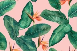 Modern nature wallpaper with tropical flowers and leaves