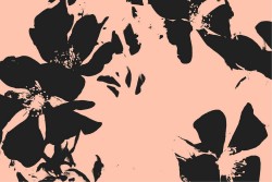 Carta da Parati Design e Stili Flora e Fauna Astratta Fiori Moderna Natura