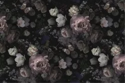 Wallpaper Design and Styles Flora and Fauna Nature Vintage Modern Flowers