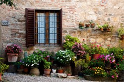 Wallpaper Landscapes and Nature Flora and Fauna Surfaces and Textures Leaves and Flowers Bricks Gardens