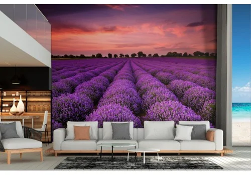 Carta da Parati prato fiori viola natura paesaggio