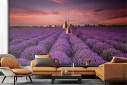 Carta da Parati prato fiori viola natura paesaggio