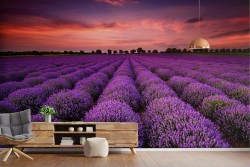 Wallpaper Leaves and Flowers Gardens Meadows and Hills