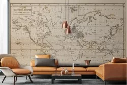 Carta da Parati mappamondo curve magnetiche globo