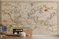 Carta da Parati Mappe Stilizzata
