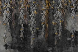 Wallpaper Design and Styles Flora and Fauna Surfaces and Textures Concrete Nature Leaves