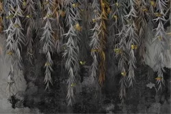 Wallpaper Design and Styles Flora and Fauna Surfaces and Textures Concrete Nature Leaves