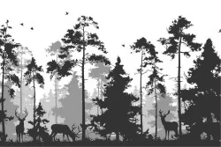 Carta da Parati foresta stilizzata paesaggio natura