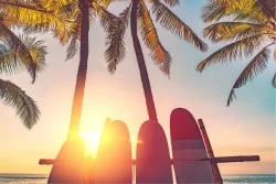 Carta da Parati Flora e Fauna Paesaggi e Natura Alba Tramonto Spiaggia e Mare Tropicale
