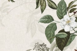 Carta da Parati fiori bianchi foglie verdi natura